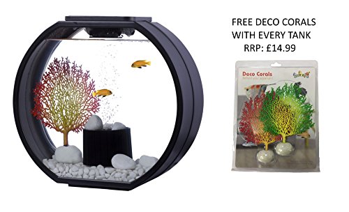 fish r fun deco fish tank
