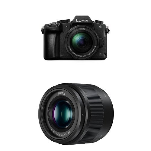 Panasonic DMC-G80MEB-K Compact System Camera with H-H025E-K 25 mm/F1.7 ASPH Lens  Bundle