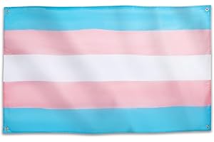 Runesol Drapeau Transgenre, 91x152cm, (3ft x 5ft) bannière Trans, drapeau de la fierté, 4 œillets, œillet dans chaque coin, LGBTQ+, défilé, festival, fête, carnaval, intérieur, extérieur