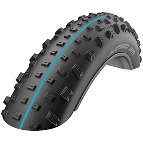 fat bike tires amazon