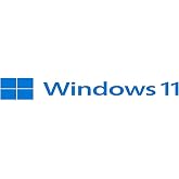 Microsoft MS Win 11 Pro EN 64Bit FQC-10528