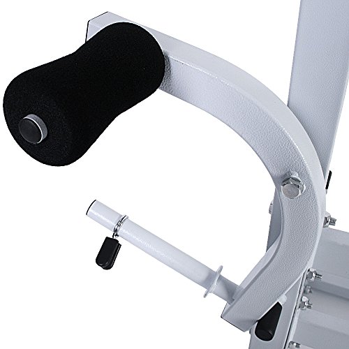 Multifunktions Trainingsbank / Hantelbank Kraftstation inkl. 2x 5kg & 2x 2,5kg Gewichte - 5