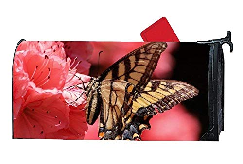 Preisvergleich Produktbild 7 * 7 * 6 cm Red Apple Candle Large 2 Pack