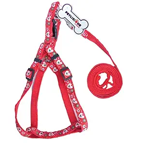 PnM Imported 0.50 Inch Harness Set Dogs/Puppy/Kittens Harness with Leash - Red