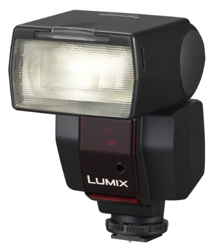 Panasonic DMW-FL360E Compact Flash for G Series Cameras, FZ100 and LX5