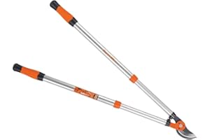 Bahco PG-19-F Ebrancheur télescopique Expert, Multicolore