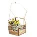 Produktbild Glas Terrarium, outgeek Dekor Glas Pflanzenbehälter Geometrisch Multifunktional Glas Blumen Topf Tischplatten Pflanzer