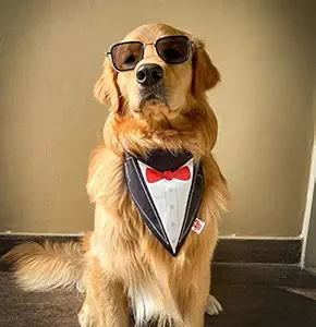 Lana Paws Adjustable & Comfortable Tuxedo Dogs Bandana Scarf (M-L) Black & Red ( Pack of 1 )