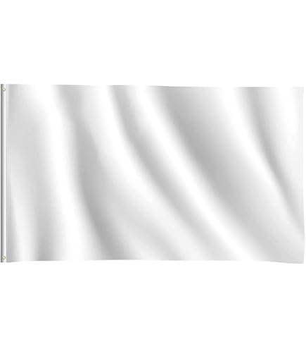 Bandiera Smith & Wesson 3x5 Piedi – Banner 100% Poliestere – Nuova Con Etichette