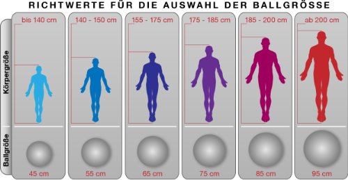 Gymnastikball 65, 75, 85, 95 cm + Pumpe Sitzball Hüpfball Fitnessball Medizinball - 6