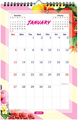 AccuPrints 2019 Wall Hanging Calendar and Planner | Abstract Design |12 inches*18 inches