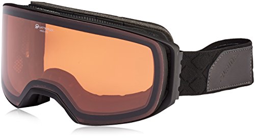 Alpina-Arris-Qh-Skibrille