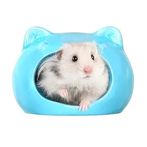 BUCATSTATE Hamster Hideout Ceramic, Small Animal House, Cat Shape Hamster Cool Bed Cave Mini Hut for Dwarf Hamster Gerbil Mice (Blue-S)