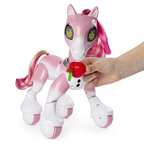 41I%2B4OnQq9L Zoomer - 6036997 - Pony