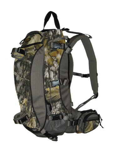beam back pack
