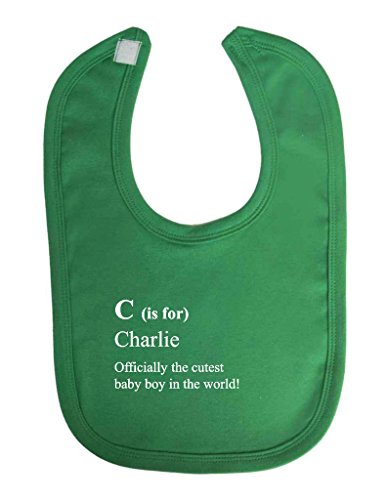 Letter Is For Name Personalised Dictionary Definition Cute Custom Velcro Fastening Baby Bib
