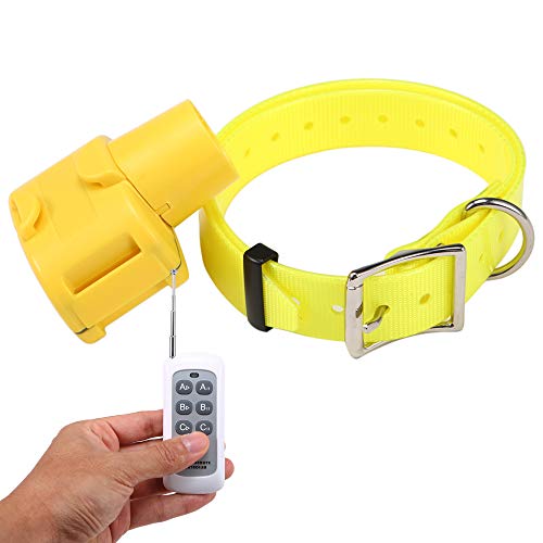 beeper per cani da ferma 2018 Le migliori offerte web