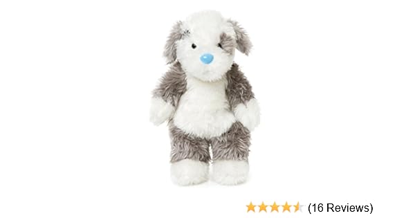 tatty teddy dog