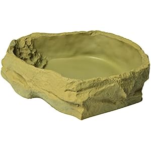 sera 32038 reptil food/water dish large eine Futter- und Trinkschale für Reptilien und Amphibien