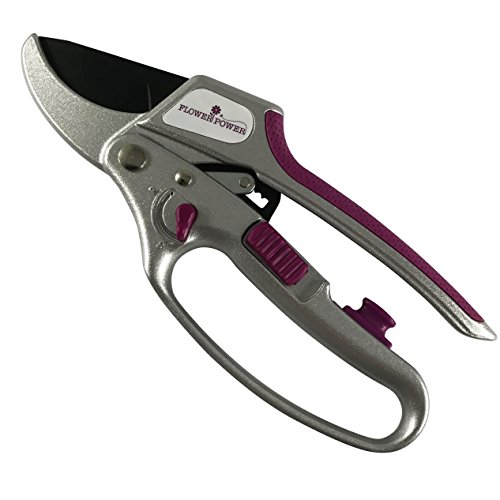 Advanced 2-in-1 Ratchet Garden Secateurs - 5 X Power (Perfect for Weaker Hands) (Purple)