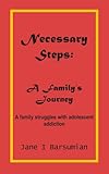Image de Necessary Steps: A Family's Journey: A family struggles with adolescent addiction