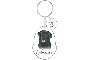 Splosh Portachiavi per animali domestici con razze di cani, portachiavi personalizzato, regalo personalizzato, portachiavi per cani e amanti dei cani. Accessori per cani, targhette per cani.