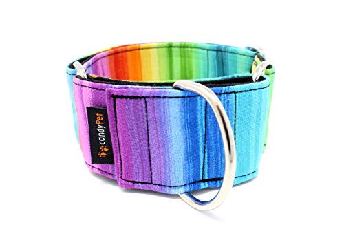 candyPet Collar Martingale Para Perros - Modelo Arcoiris, M