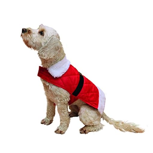 Rosewood Christmas Novelty Santa Coat for Dogs, Medium Dog Gadgets Store