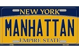 TNND Plaque d'immatriculation en métal avec fond New York - 15,2 x 30,5 cm