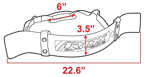 RDX Gym Bizeps Isolator Trizeps Bomber Arm Support Blaster Fitness Workout - 2
