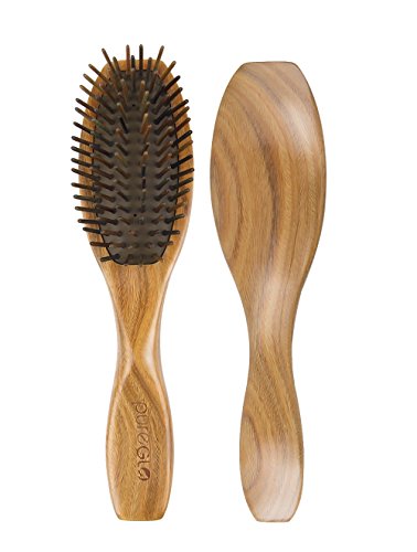pureGLO Natürliche Grüne Sandelholz Haarbürste - Entwirren Massage Kopfhaut Keine Statische Haarkamm - Holz Borste Organischen Haarbürsten Abgefedert