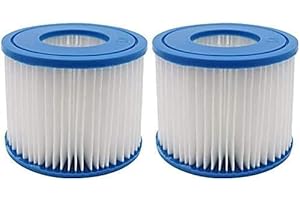 SUDS-ONLINE Compatible With All Lay-Z-Spa Models Bestway Filter Cartridge VI Replacement FOR Miami, Vegas, Monaco, Palm Springs 1 x Twin Pack