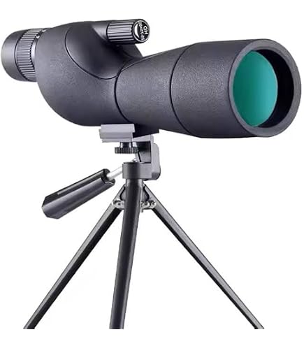 Buy Bushnell Sentry 18-36x 50mm Binocular Online at Low Prices in