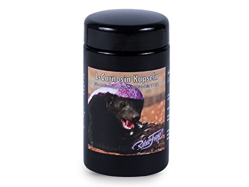 Preisvergleich Produktbild Robert Franz - L-Carnosin Kapseln (120 Stk.)