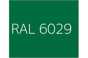 MASTER INDUSTRIA PER L'EDILIZIA Resina Epossidica Satinata per Piastrelle e Superfici Facile Applicazione 12 MQ (Epofix Coat) (RAL6029, 1 Kg)