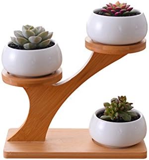 Succulent Pots with Bamboo Saucers Stand Holder - White Modern Decorative Round Ceramic Flower Planter Plant Pot with Drainage - Home Office Desk Garden Mini Cactus Pot Indoor Decoration (Round Pots)