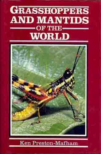 Grasshoppers and Mantids of the World livre