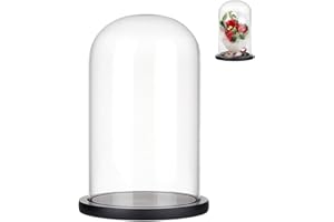 NBEADS Cupola di la Cloche con Display in Vetro, con Cupola in Vetro Trasparente con Base in Legno Nero per Decorazioni Centrotavola da Tavolo per Ufficio e Casa da Collezione, 15x25.5cm