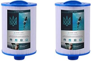 Alford & Lynch Spa Filters for Hot Tub, Replacement for Unicel 6CH-940, Pleatco PWW50P3, PWW50-P3, Filbur FC-0359, Waterway Plastics 817-0050, 25252, 378902, 03FIL1400 (2)