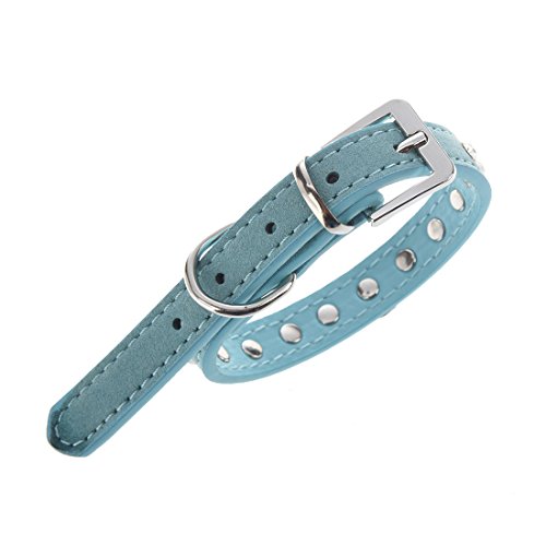 TOOGOOR-New-Blue-Bling-Cat-Puppy-Dog-Collar-Velvet-With-Diamante