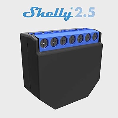 Shelly 2.5PM Interrupteur relais Wi-Fi pour le contrôle de deux circuits électriques avec puissance maximale de 2,3 kW, compatible avec Amazon Echo et Google Home