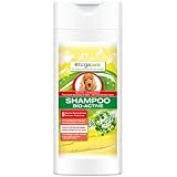 Bogacare Shampoo Bio-Activ Hund