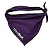 "December-Triangular Neckerchief for Baby-Asymmetrical -  Purple - Small