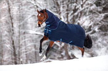 Preisvergleich Produktbild Horseware Amigo Bravo-12, 100g