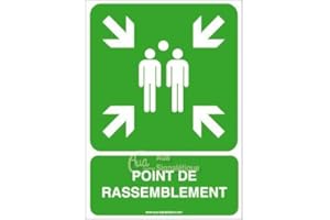 AUA SIGNALETIQUE - Panneau ISO 7010 Point de rassemblement E007-AI - 300x420 mm, Aluminium Dibond 3mm