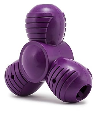 PetSafe BB-SNT-TROO-M-19 Busy Buddy Squeak 'n Treat Jouet pour Chien