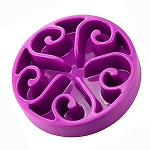 OFKPO Perro alimentador alimentación Lenta Pet Bowl – Saludable diseño Bol para Perro de Mascota, Reducir significativamente la Velocidad de Comer Perro