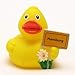 Produktbild Duckshop I Badeente I Quietscheente I Stadtente Hamburg I Quietscheentchen I L: 8 cm