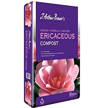 J. Arthur Bowers Ericaceous Compost, 50 litres