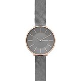 Skagen Damen Analog Quarz Uhr mit Edelstahl Armband SKW2689